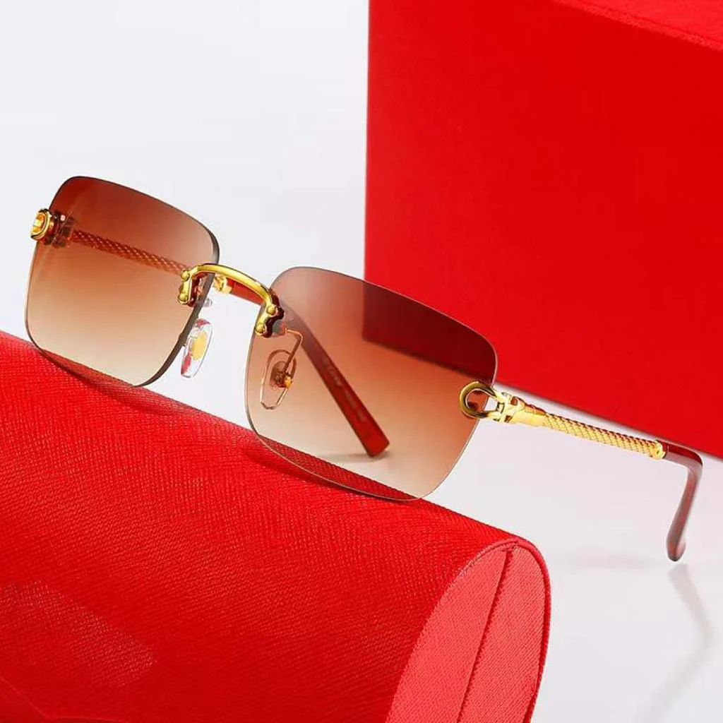 Serpent Sunglasses - Image 4
